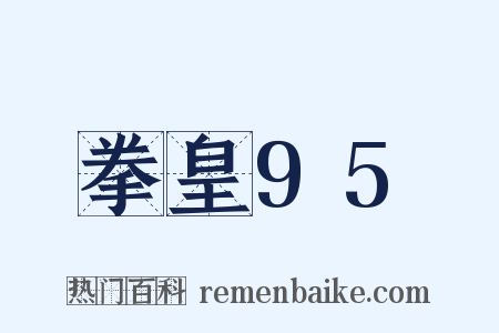 拳皇95是什么意思的图片